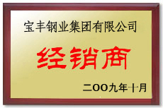 泰安宝丰经销商